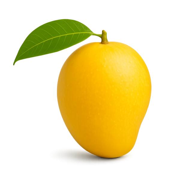Devgad premium alphonso mango, 12 pieces, approx. 200gm/pc - Image 6
